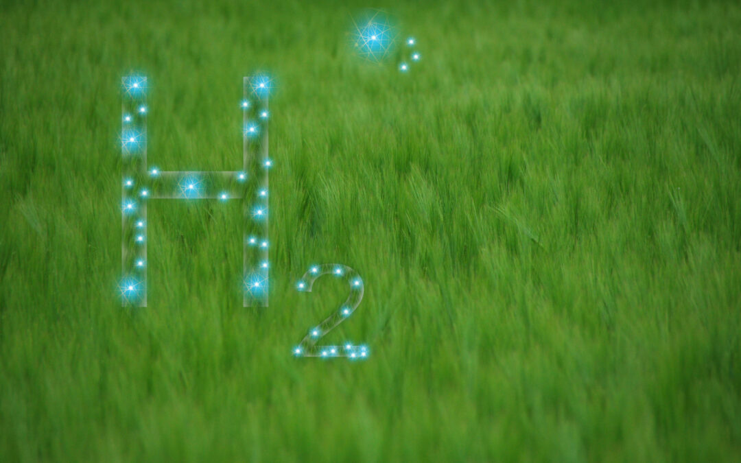 1st Official Press Release of IRION Project