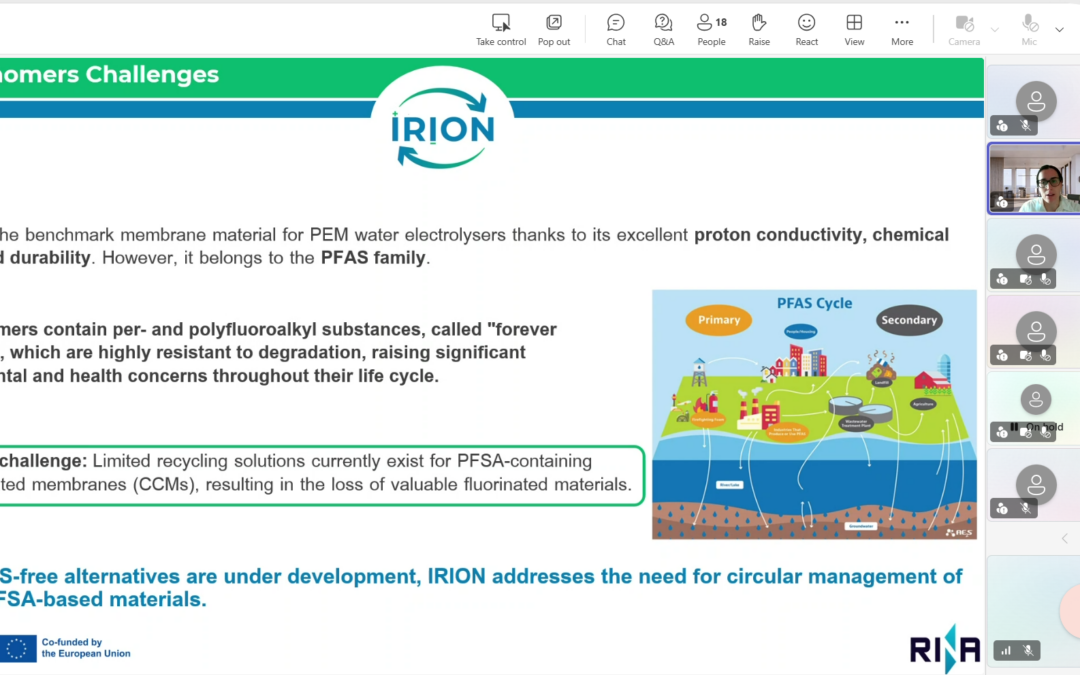 IRION shares its circular recycling approach at the PROMISERS project Workshop